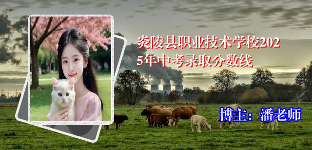 炎陵县职业技术学校2025年中考录取分数线