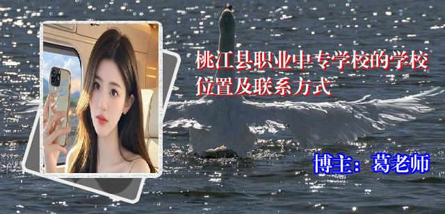 桃江县职业中专学校的学校位置及联系方式