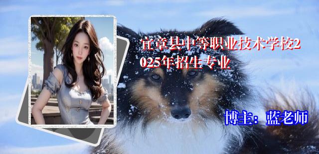 宜章县中等职业技术学校2025年招生专业 宜章县中等职业技术学校2025年招生专业