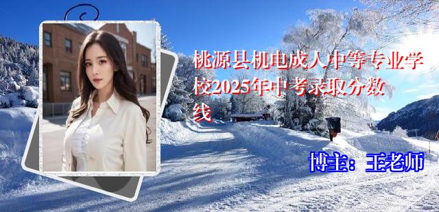 桃源县机电成人中等专业学校2025年中考录取分数线