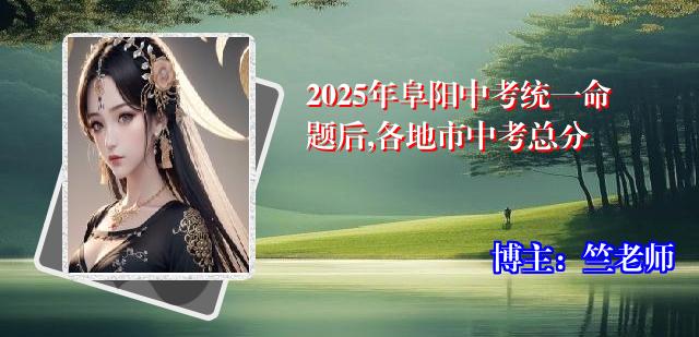 2025年阜阳中考统一命题后,各地市中考总分
