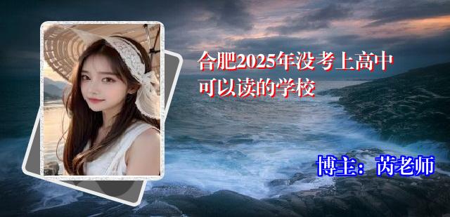 合肥2025年没考上高中可以读的学校