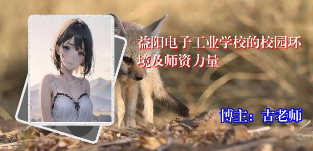 益阳电子工业学校的校园环境及师资力量