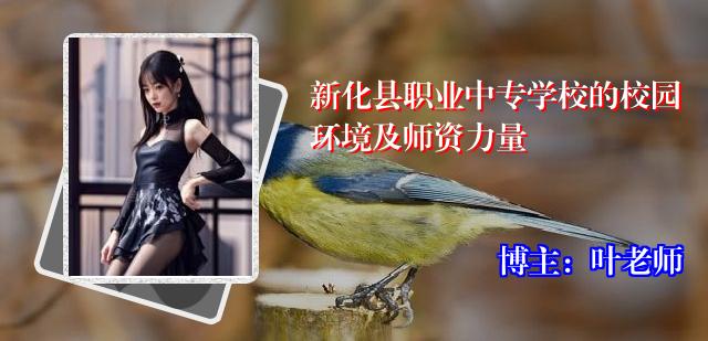 新化县职业中专学校的校园环境及师资力量