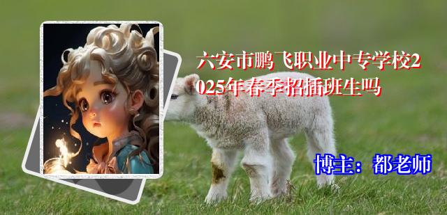 六安市鹏飞职业中专学校2025年春季招插班生吗