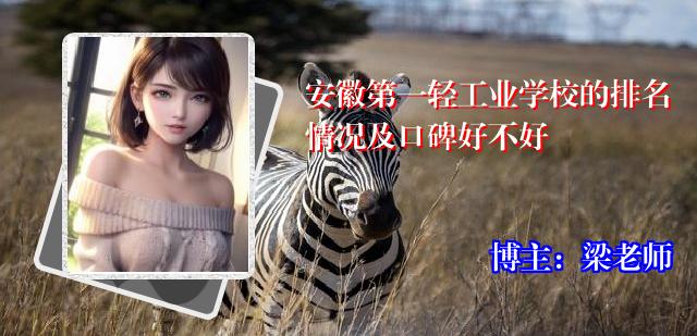 安徽第一轻工业学校的排名情况及口碑好不好