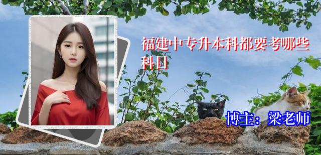 福建中专升本科都要考哪些科目