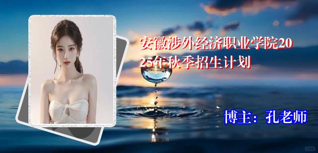 安徽涉外经济职业学院2025年秋季招生计划