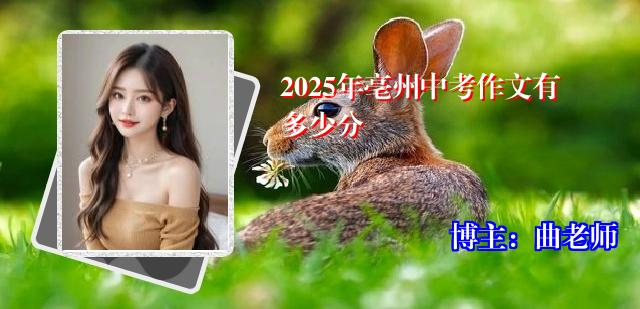 2025年亳州中考作文有多少分