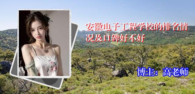 安徽电子工程学校的排名情况及口碑好不好