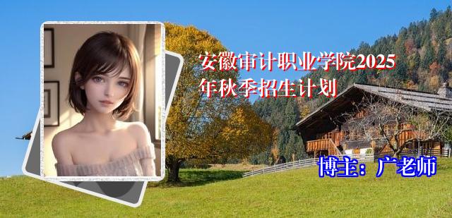 安徽审计职业学院2025年秋季招生计划