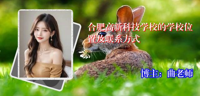 合肥高新科技学校的学校位置及联系方式