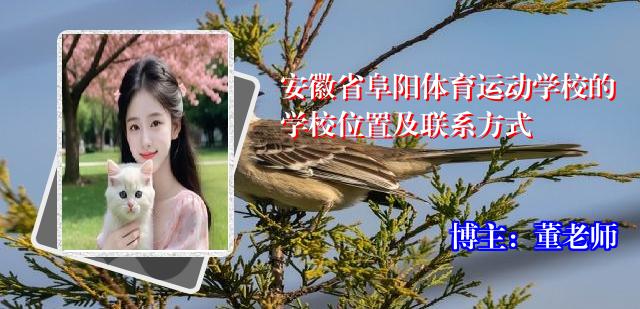 安徽省阜阳体育运动学校的学校位置及联系方式