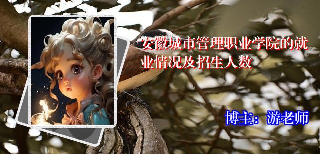 安徽城市管理职业学院的就业情况及招生人数