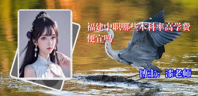 福建中职哪些本科率高学费便宜吗