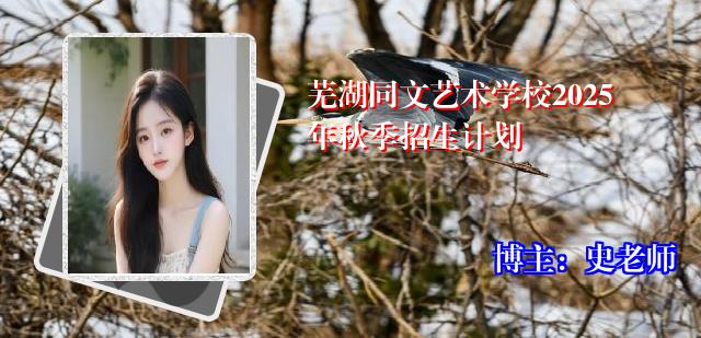 芜湖同文艺术学校2025年秋季招生计划