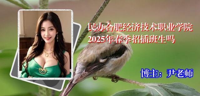民办合肥经济技术职业学院2025年春季招插班生吗