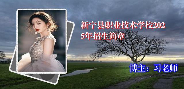 新宁县职业技术学校2025年招生简章