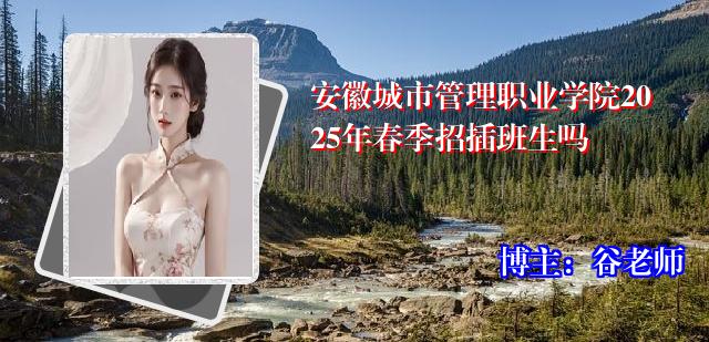 安徽城市管理职业学院2025年春季招插班生吗