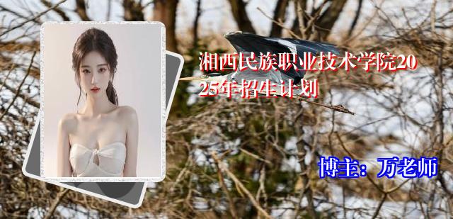 湘西民族职业技术学院2025年招生计划