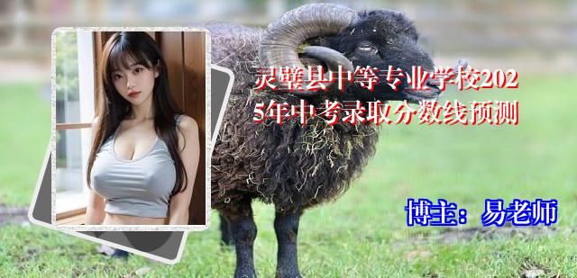 灵璧县中等专业学校2025年中考录取分数线预测