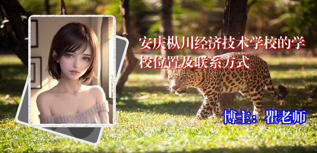 安庆枞川经济技术学校的学校位置及联系方式