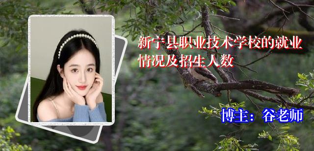 新宁县职业技术学校的就业情况及招生人数