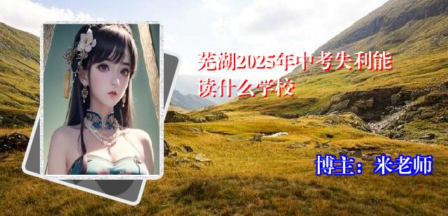 芜湖2025年中考失利能读什么学校