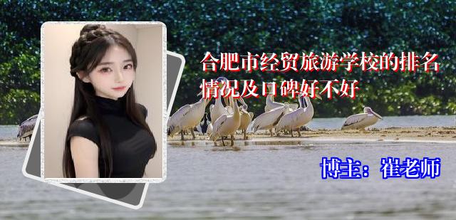 合肥市经贸旅游学校的排名情况及口碑好不好