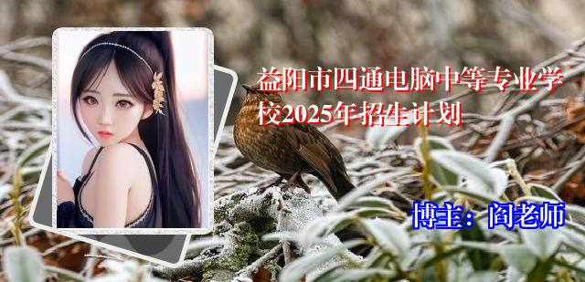 益阳市四通电脑中等专业学校2025年招生计划 益阳市四通电脑中等专业学校2025年招生计划