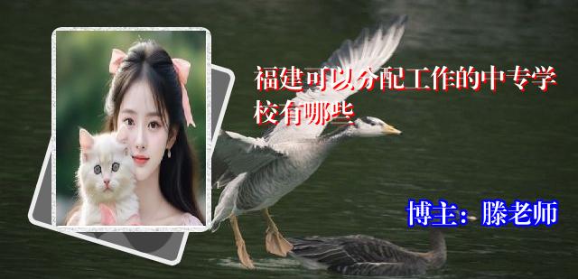 福建可以分配工作的中专学校有哪些