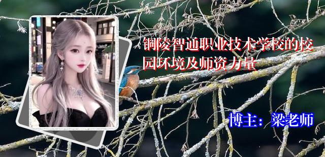 铜陵智通职业技术学校的校园环境及师资力量