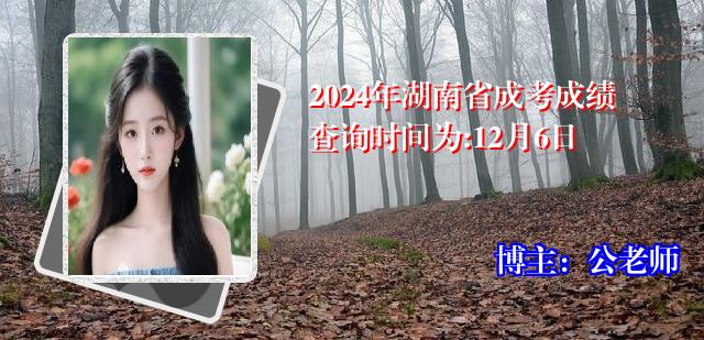2024年湖南省成考成绩查询时间为:12月6日