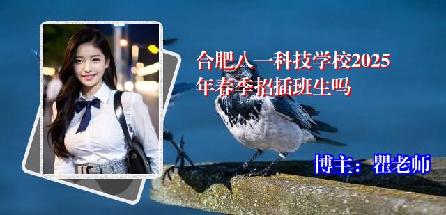 合肥八一科技学校2025年春季招插班生吗