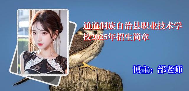 通道侗族自治县职业技术学校2025年招生简章