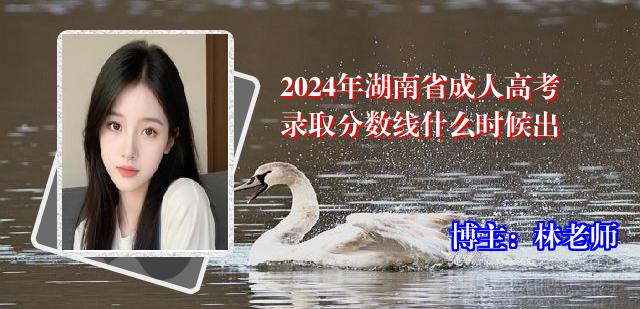 2024年湖南省成人高考录取分数线什么时候出