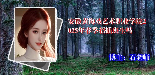 安徽黄梅戏艺术职业学院2025年春季招插班生吗
