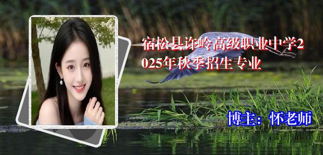 宿松县许岭高级职业中学2025年秋季招生专业
