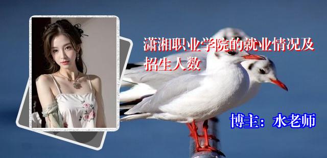 潇湘职业学院的就业情况及招生人数