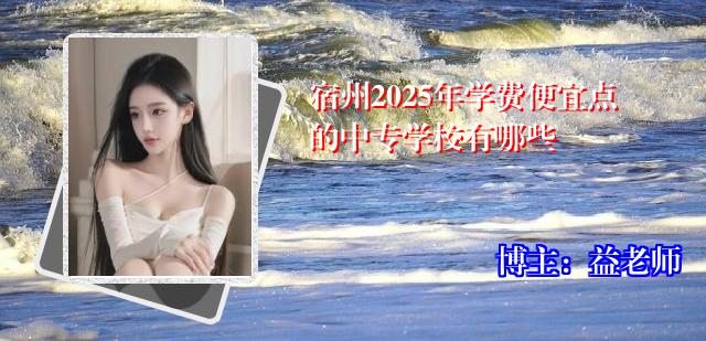 宿州2025年学费便宜点的中专学校有哪些