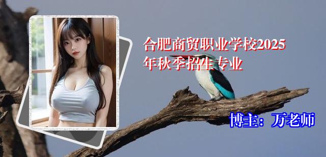 合肥商贸职业学校2025年秋季招生专业