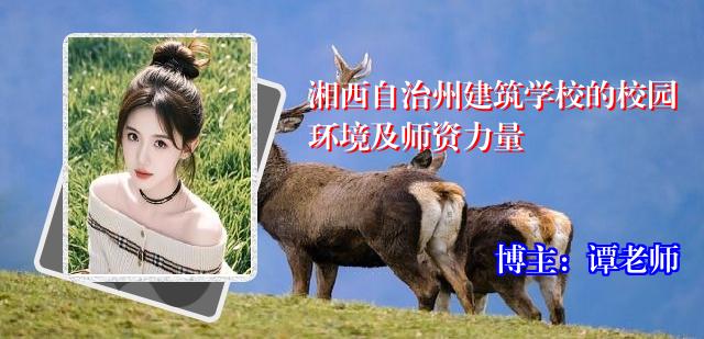 湘西自治州建筑学校的校园环境及师资力量