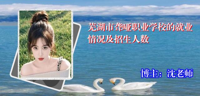 芜湖市聋哑职业学校的就业情况及招生人数