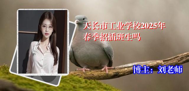 天长市工业学校2025年春季招插班生吗
