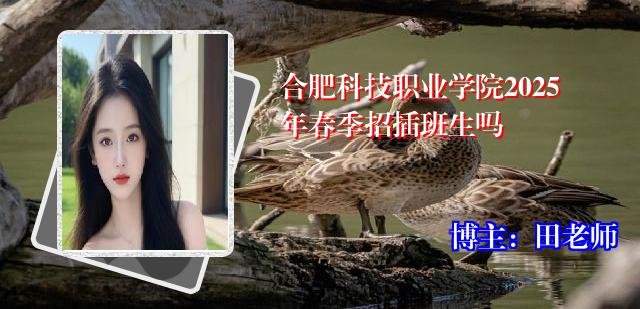 合肥科技职业学院2025年春季招插班生吗