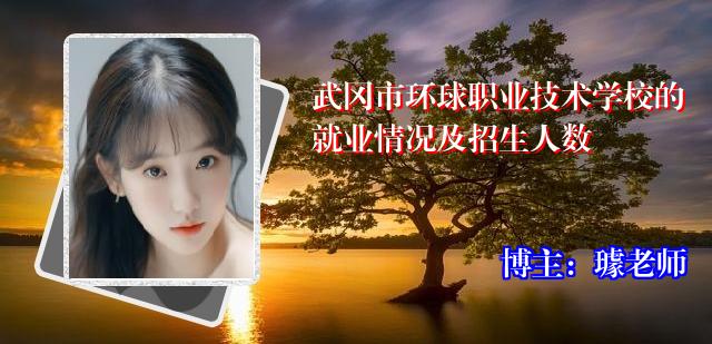 武冈市环球职业技术学校的就业情况及招生人数