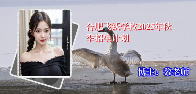 合肥飞跃学校2025年秋季招生计划