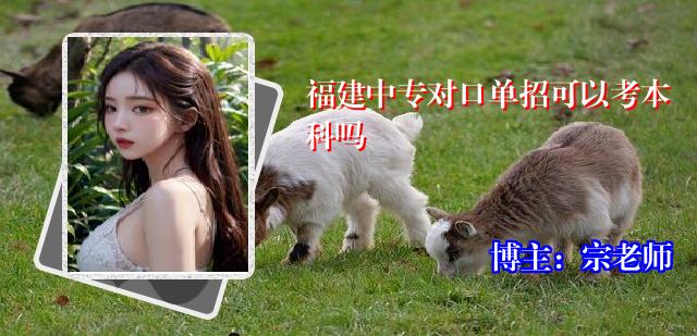 福建中专对口单招可以考本科吗