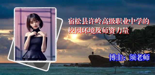 宿松县许岭高级职业中学的校园环境及师资力量