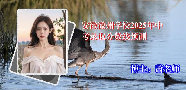 安徽徽州学校2025年中考录取分数线预测